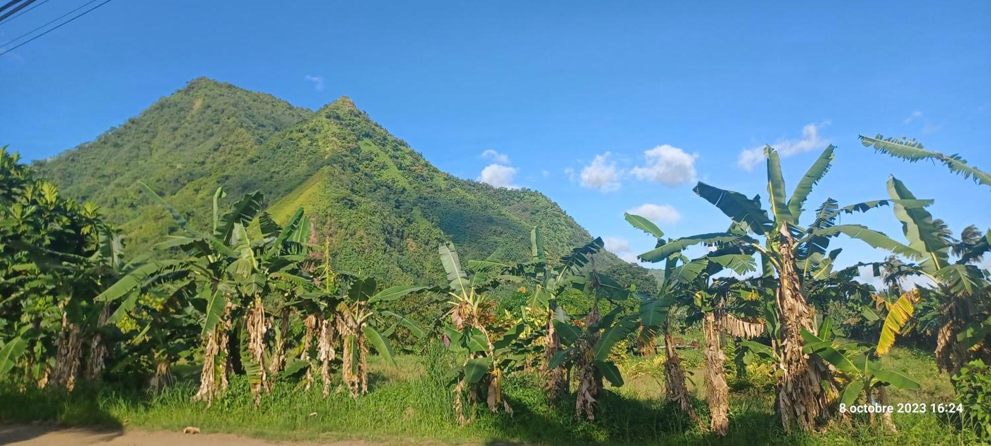 Hava'E Lodge Teahupoo Bagian luar foto